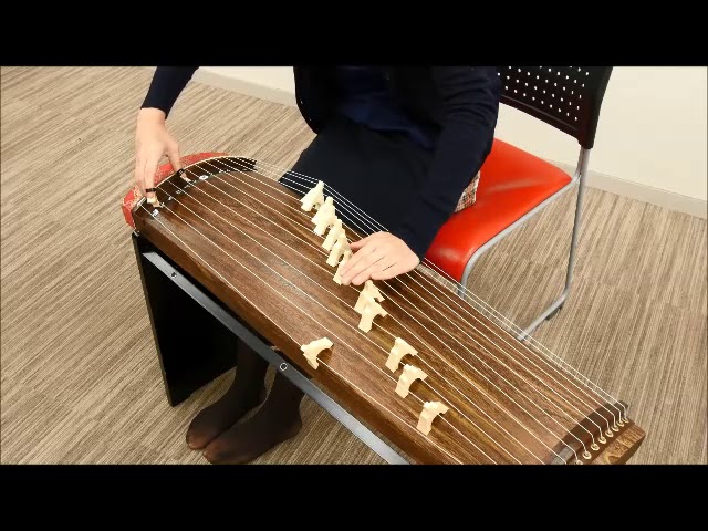 送料無料 入手困難】 だれでも弾ける 高級三尺琴 弾龍 だれでも弾ける