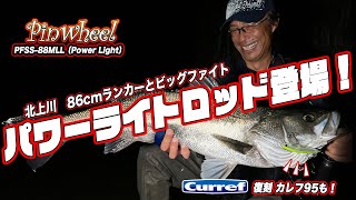 Pinwheel / ピンウィール ｜PALMS ｜ 株式会社パームス