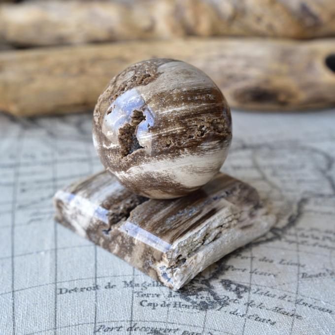 珪化木・スフィア ペトリファイドウッド Planets earth ウクライナ産