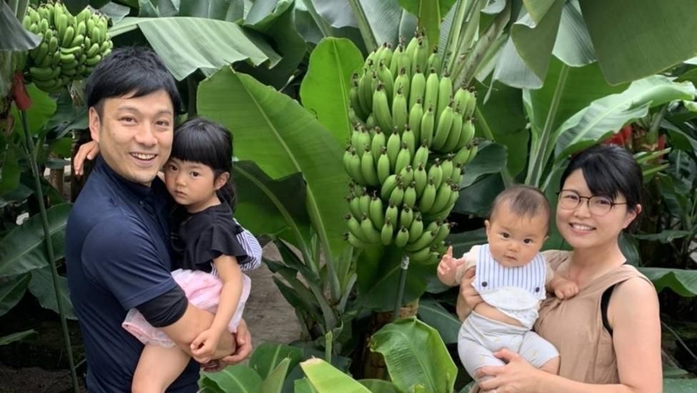 大人気】宮崎バナナづくしセット - 宮崎県産無農薬バナナ「NEXT716」