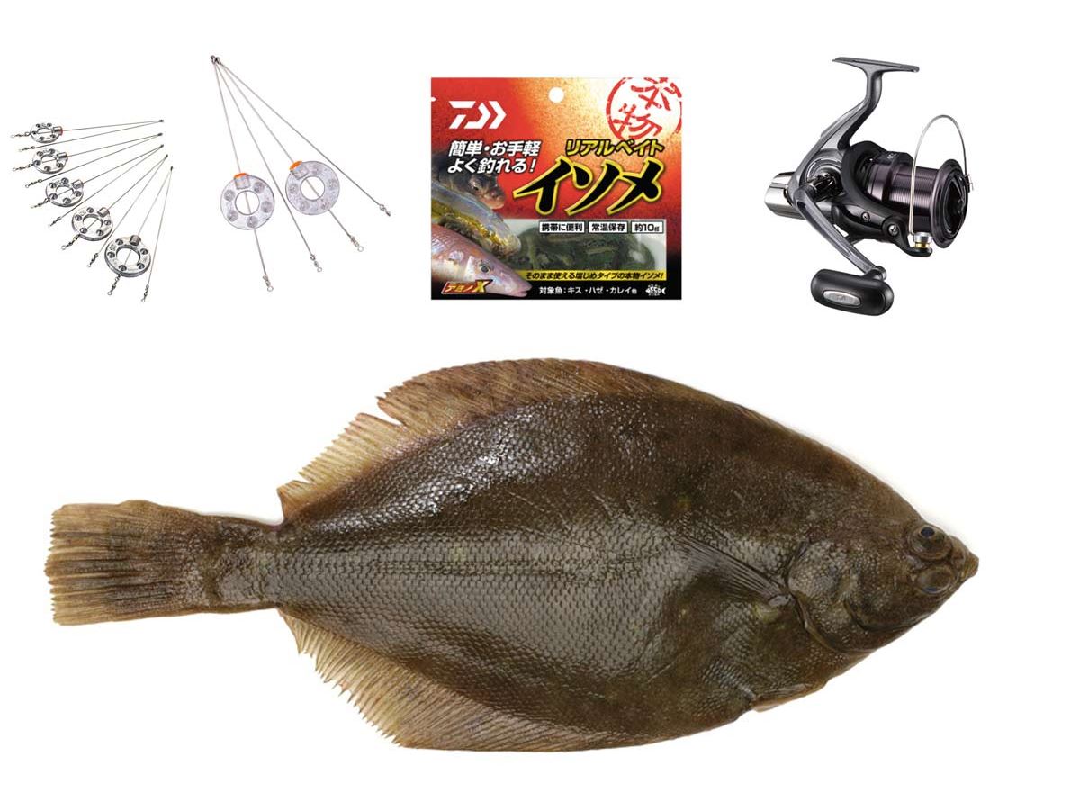 冬の定番ターゲット！ 「肉厚カレイ」を“投げ釣り”で狙う - 価格.com