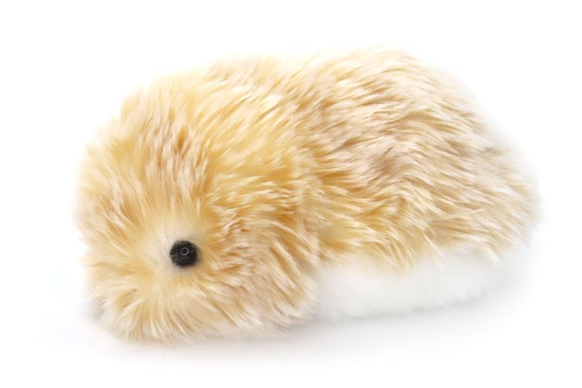 モフリン moflin AIペット クラウドファンディング版 飼い主になつく