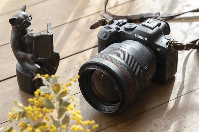 CANON EOS 美品 EOS R6 ショット数1556 ショップ保証2024/2迄