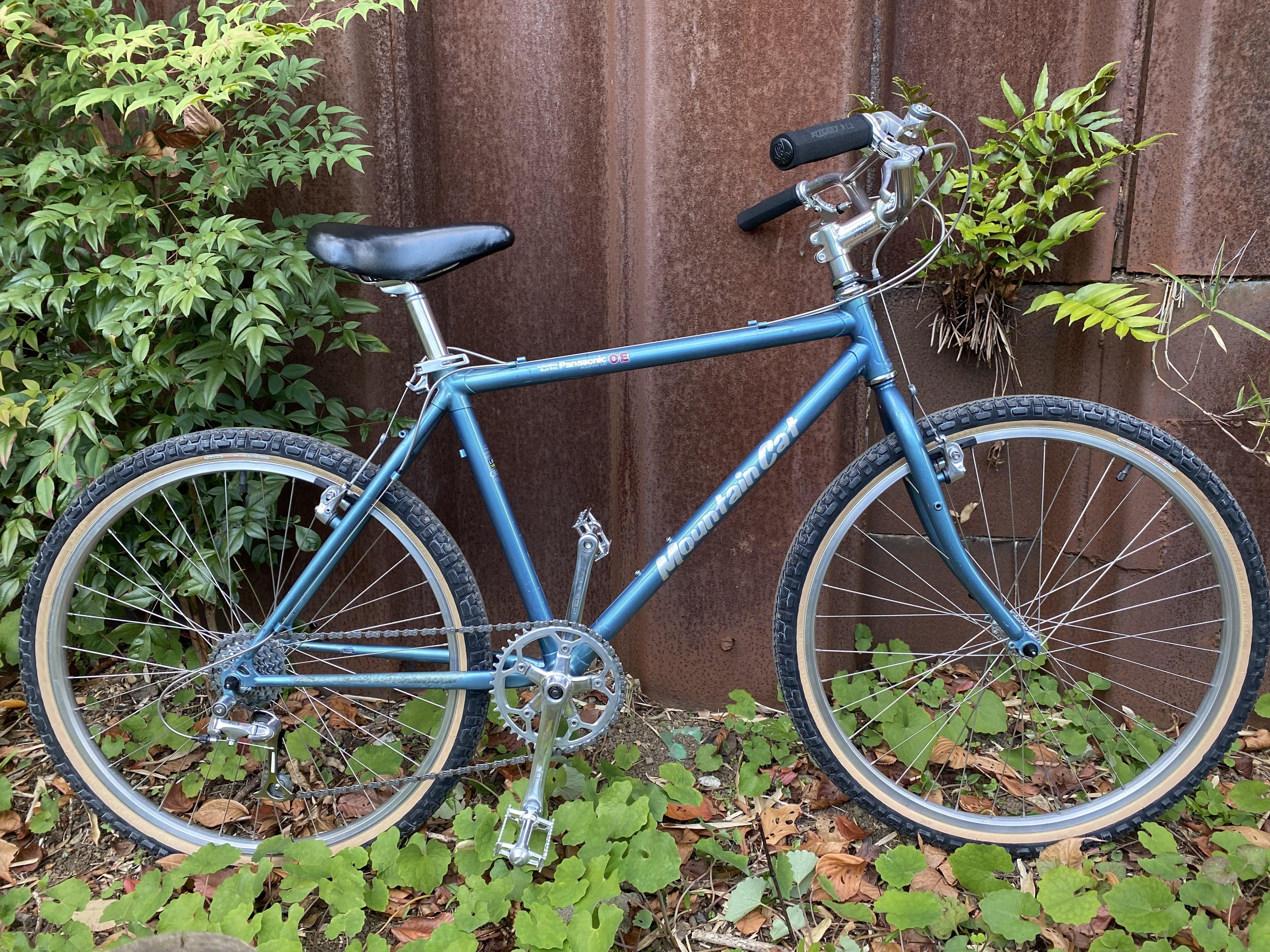 Panasonic Mountain Cat OE