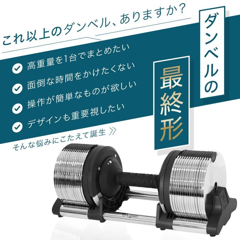 ライシン ヘリックスミラー 32kg 1kg刻み シルバー 2個 Lysin