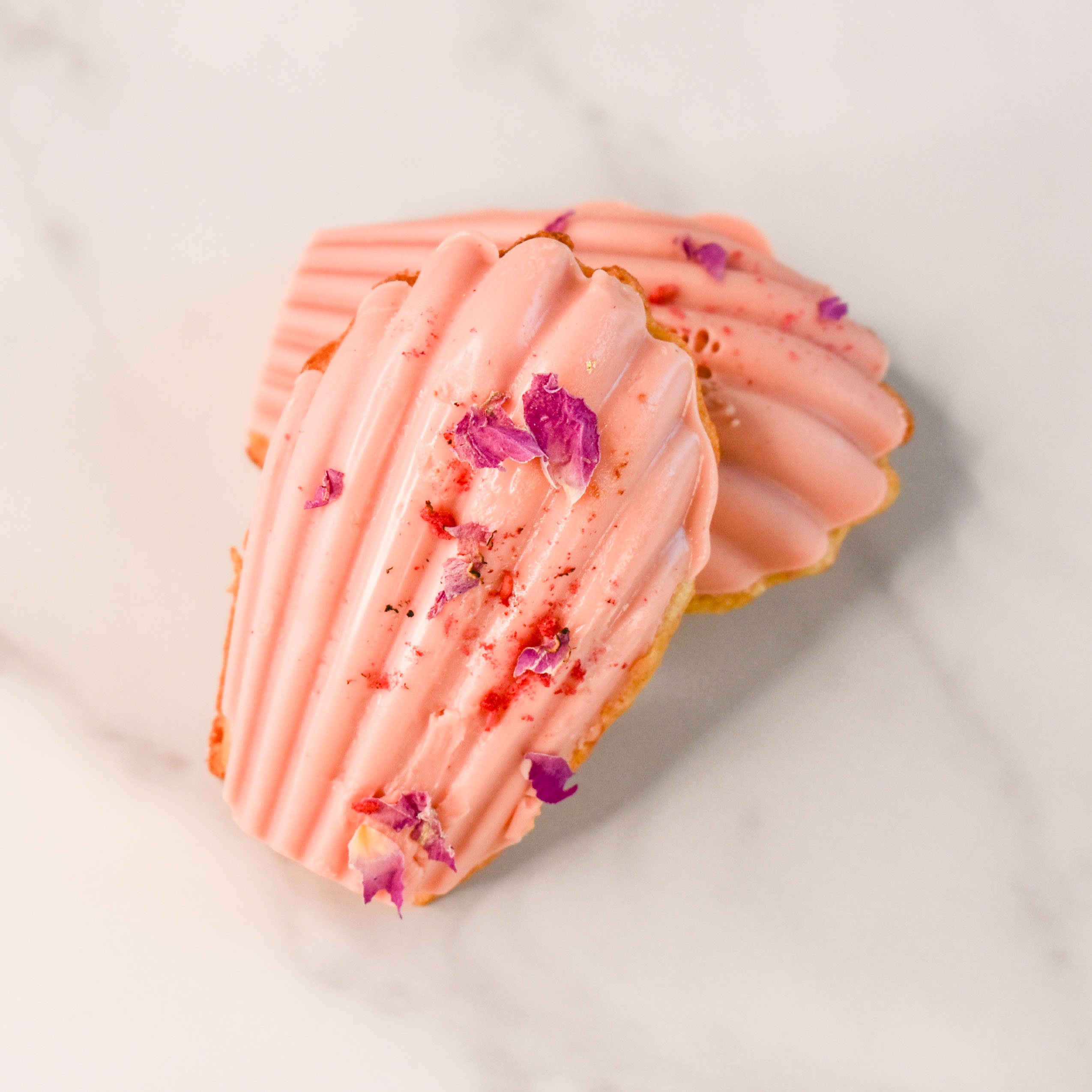 Artisanal Madeleine Box - 12pc - Ina Bakes Studio