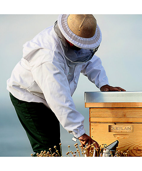 GUERLAIN（GUERLAIN） アベイユ ロイヤル スカルプ＆ヘア シャンプー