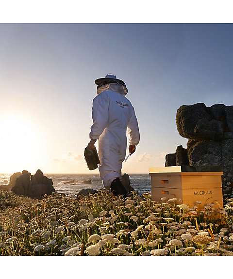 GUERLAIN（GUERLAIN） アベイユ ロイヤル オイル セロム エントリー