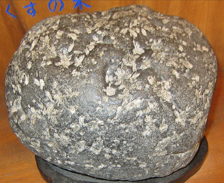 緋山酔恭「山水石美術館」 渡良瀬川 桜石・土佐桜・鶴富石 など