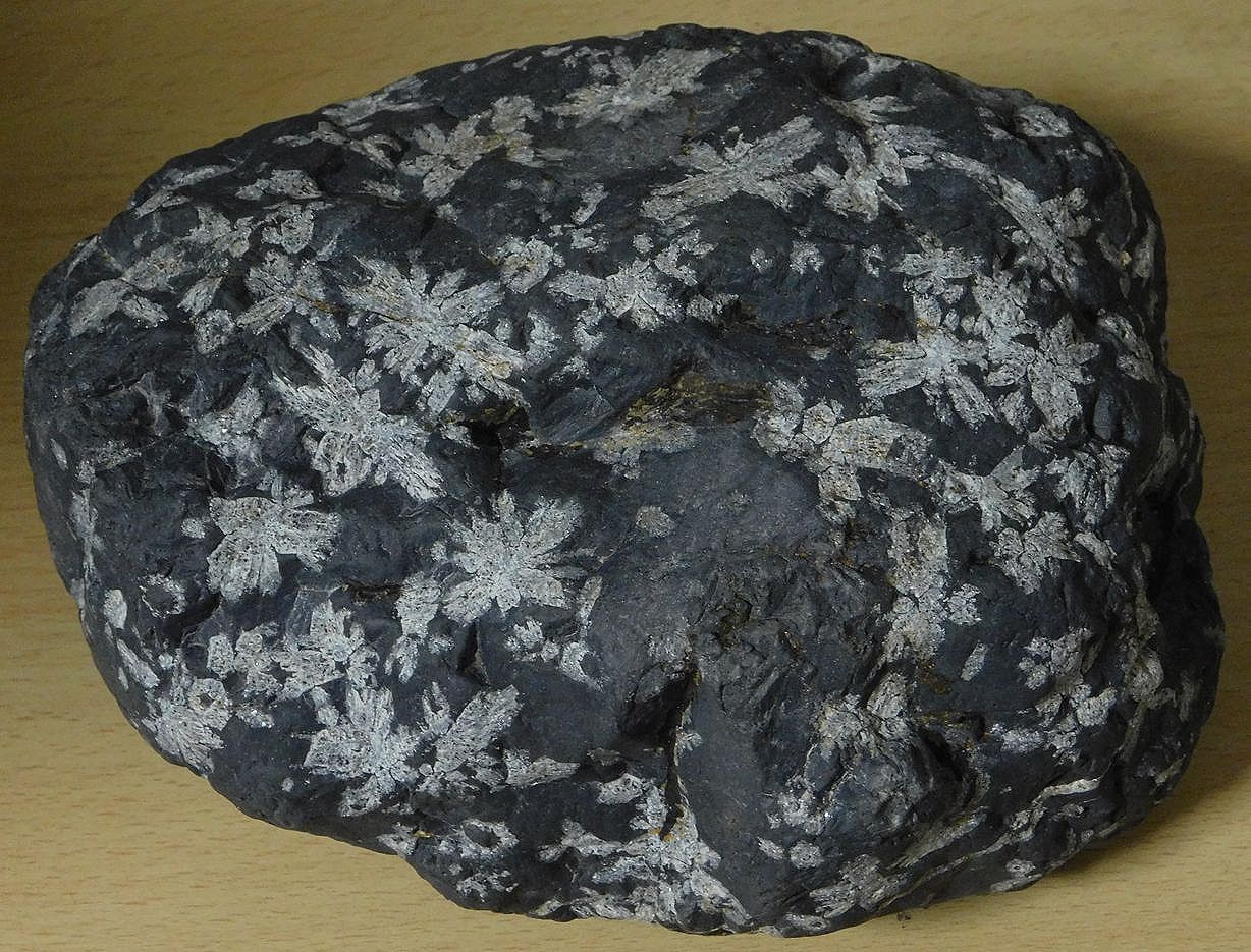 緋山酔恭「山水石美術館」 渡良瀬川 桜石・土佐桜・鶴富石 など