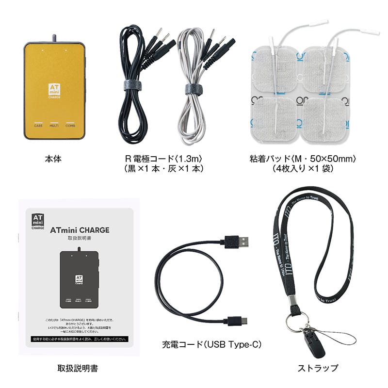 ATmini CHARGE本体セット | イトーオンラインショップ