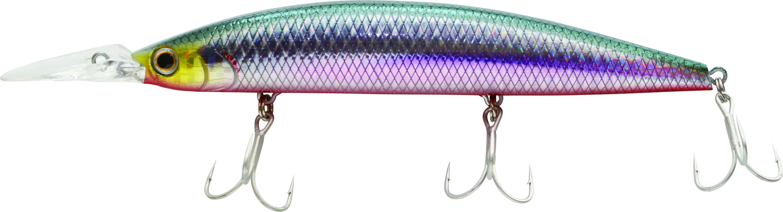 ライトショアジギングでシーバス・ヒラメを狙う!! | ジャクソン