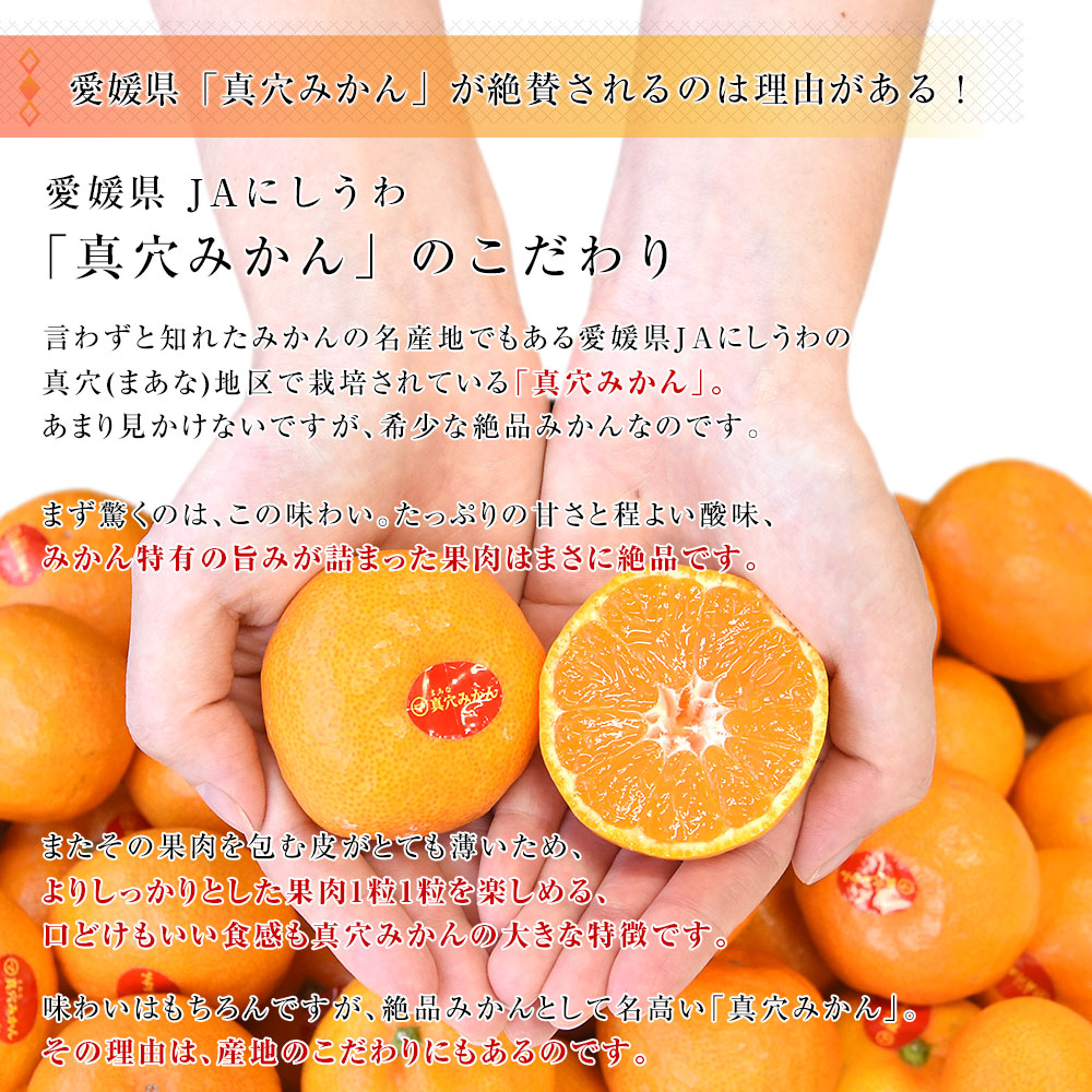 年内発送間に合います】愛媛県産 JAにしうわ 真穴みかん 約2.8キロ(1.4