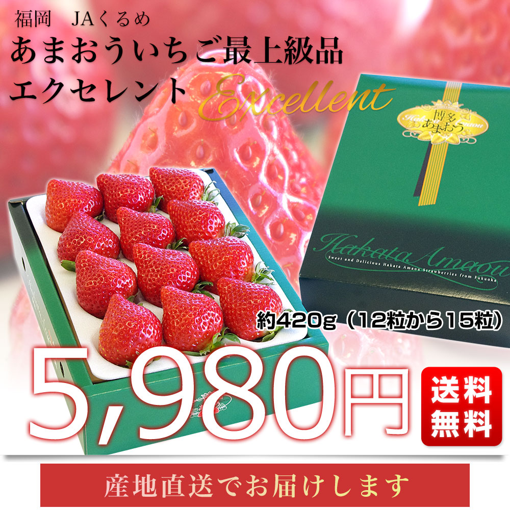 福岡県より産地直送 JAくるめ あまおういちご EX:最上級品エクセレント