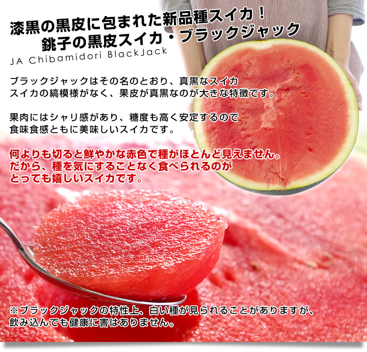 千葉県産 JAちばみどり 銚子の黒皮スイカ ブラックジャック 4L 大玉1玉