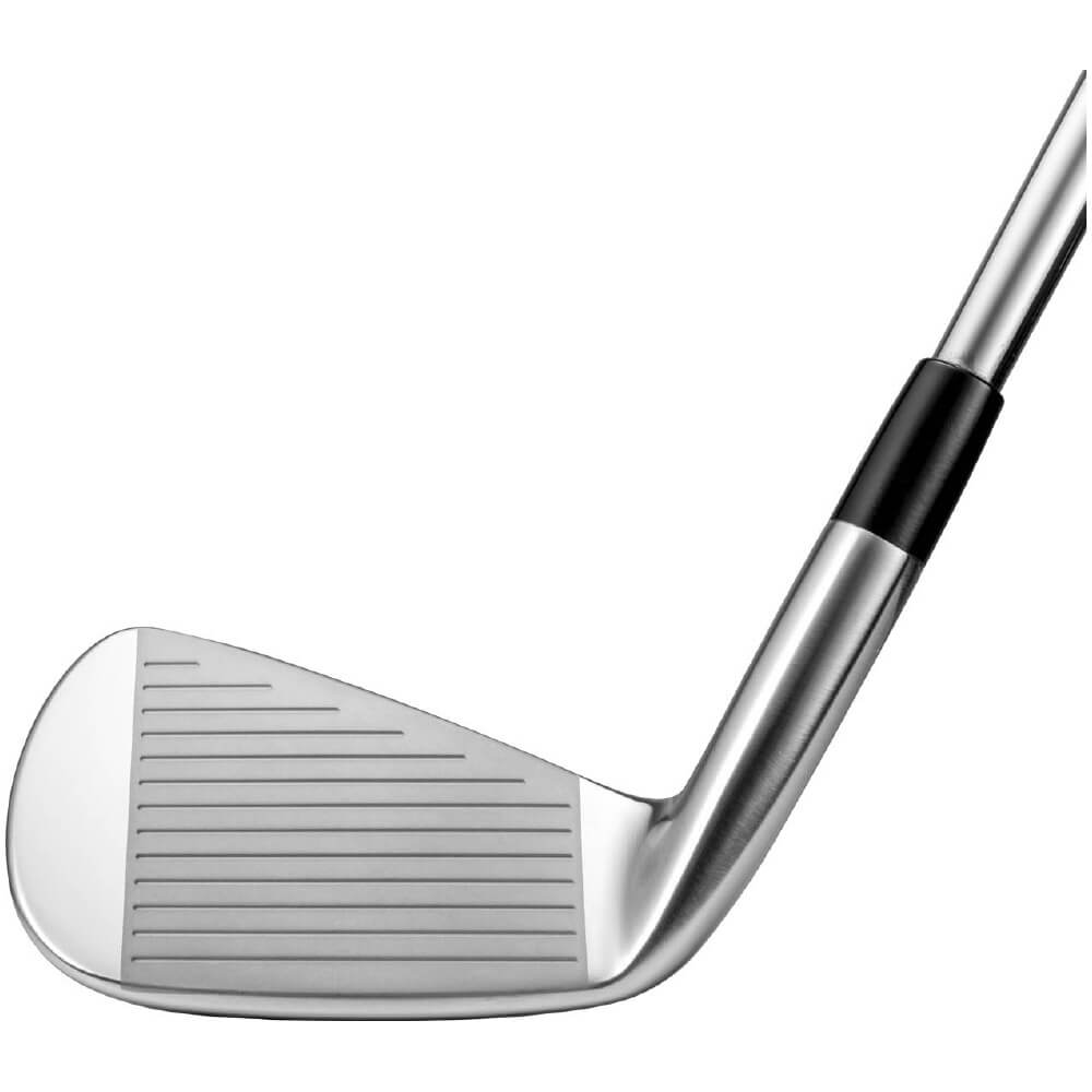 Mizuno Pro 223 アイアン（N.S.PRO MODUS3 TOUR105 スチールシャフト付