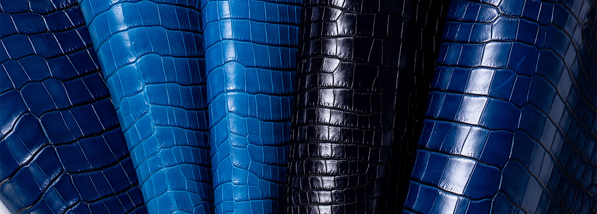 ワニ革が持つ魅力 ｜ エキゾチックレザーマーケットジャパン