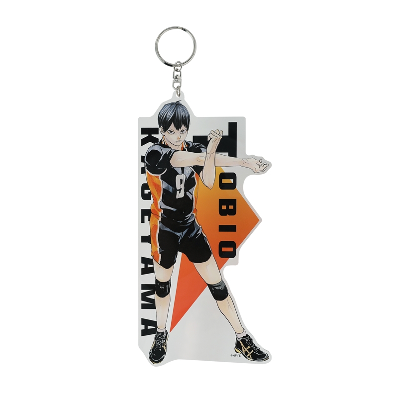 ハイキュー 全身 アクリルキーホルダー 思い出 全11種セット