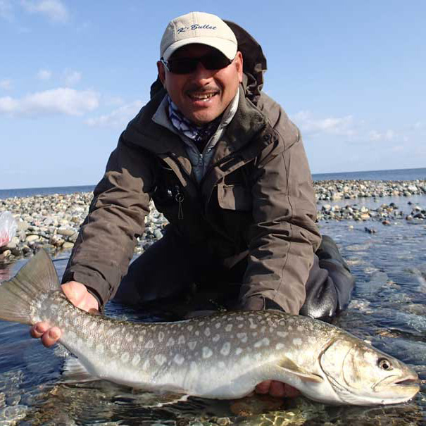 SD series | K・Bullet