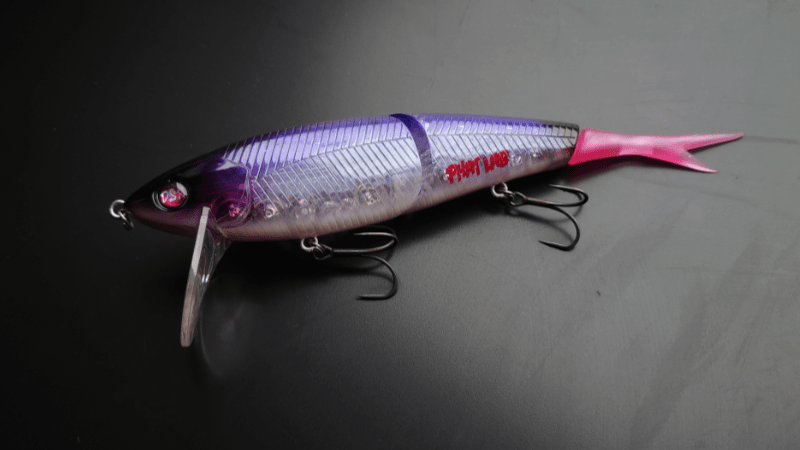 ディープをスローに ネコソギ DSR - KingFisherGarage -カワセミガレージ-