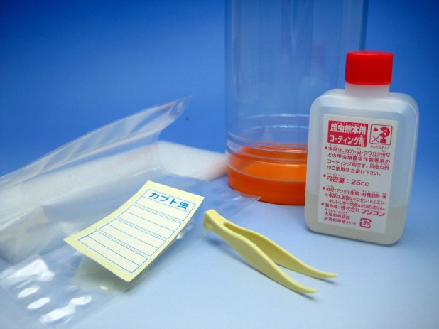 かんたん昆虫標本キット（標本LABO）販売-夏休みの自由研究に最適