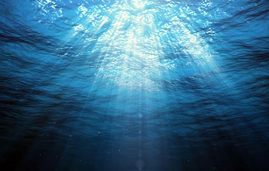 エモリエントエッセンス｜スクワラン美容 | 綺羅化粧品 公式サイト