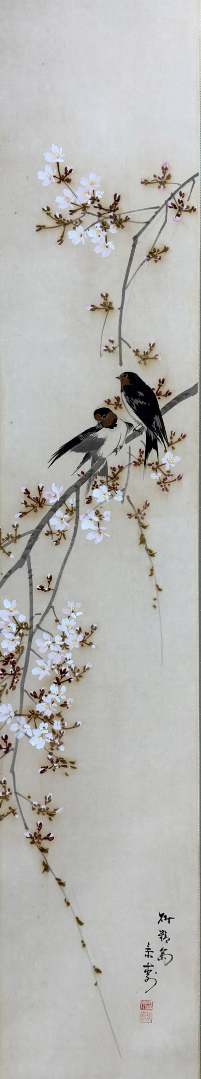 桜花玄鳥｜新・古美術 高美堂（こうびどう）｜掛軸販売・通販・買取