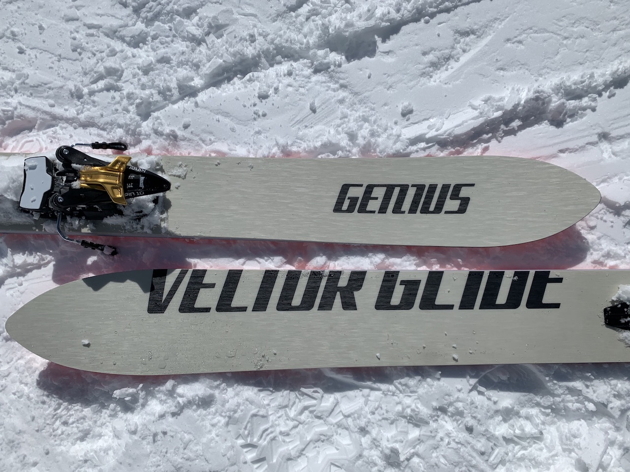 ベクターグライド GENIUS Narrow + デュークPT16 185cm ベクター