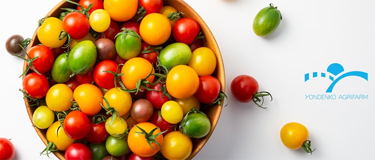 四電工アグリファーム | Lacycle mall（ラシクルモール）