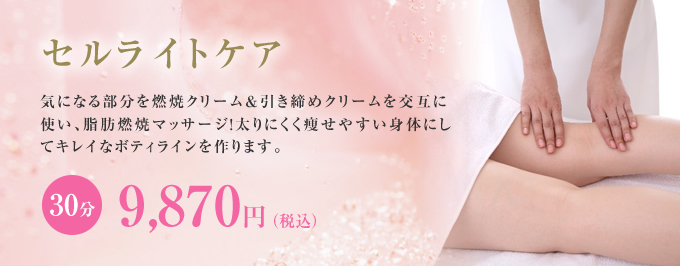 セルライトケア｜名古屋のエステサロン【Le seuil】ルソイル