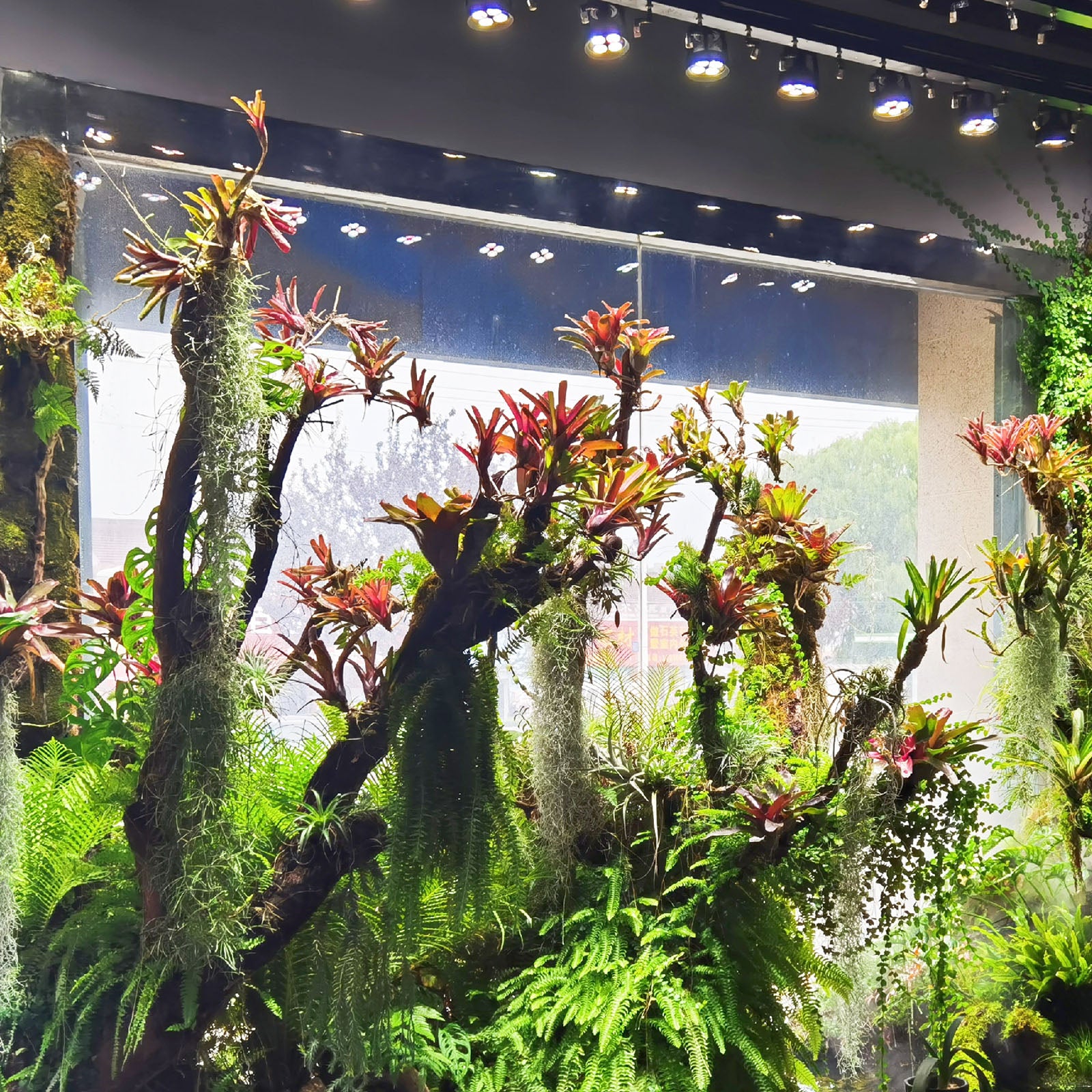 LEDSTAR P33 LEDライト 植物育成ライト 高PPFD 植物用 アガベ 冷却