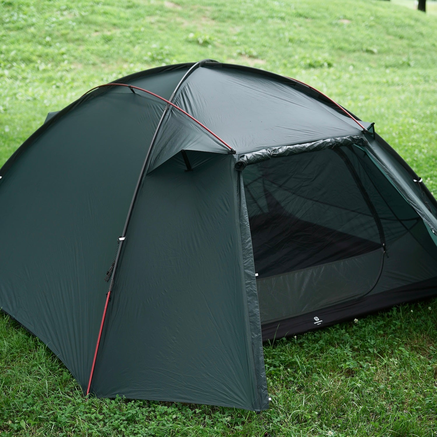 THE FREE SPIRITS stars3 シニアアッシュ 【公式通販】