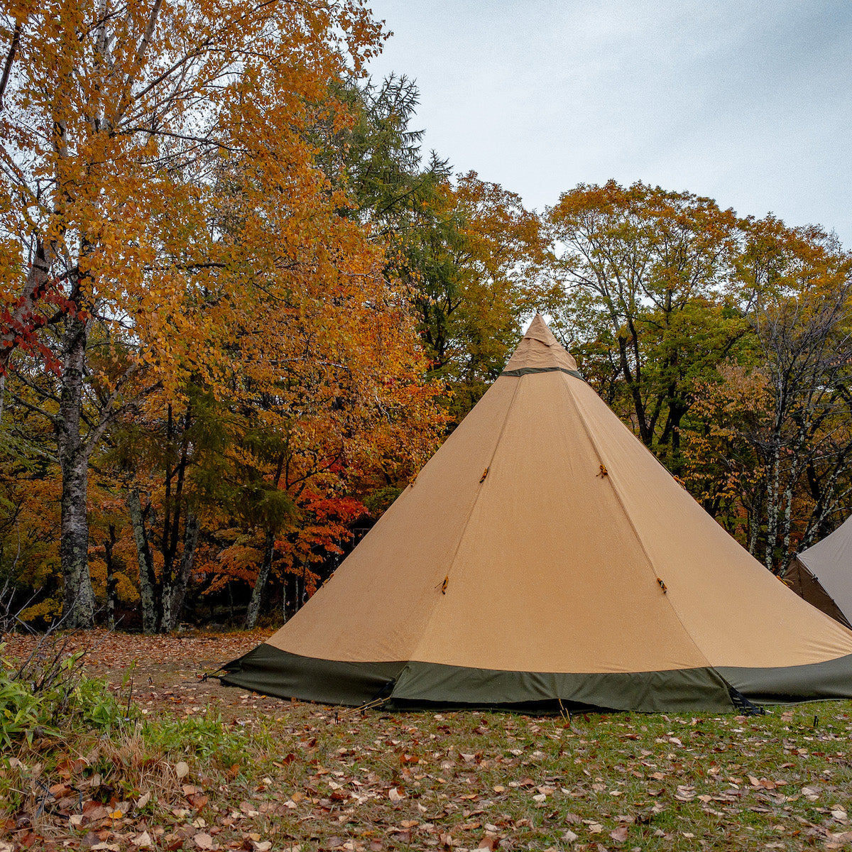 未使用 テンティピ サファイア9 CP フロア SET テント O2204399 未使用