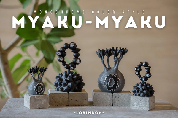 ひ*し様 Sサイズセット LOBINDON ×ミャクミャク グラキリス 亀甲竜 ひ