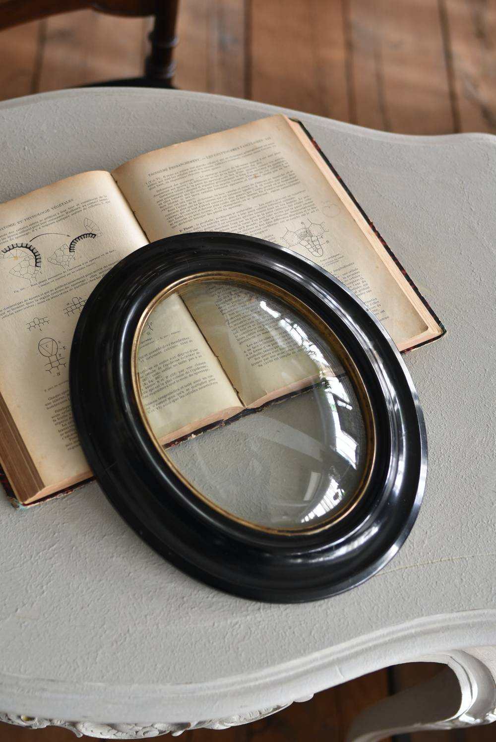 美品】フランスアンティーク ドライフラワー ドーム ゴールドフレーム