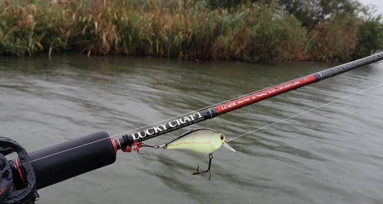 ラッキークラフト プラッギングパフォーマンスLC-63R – LureNote