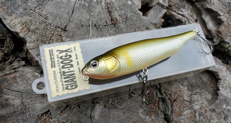 メガバス「ジャイアントDOG-X」使用インプレッション。スピードサーチ