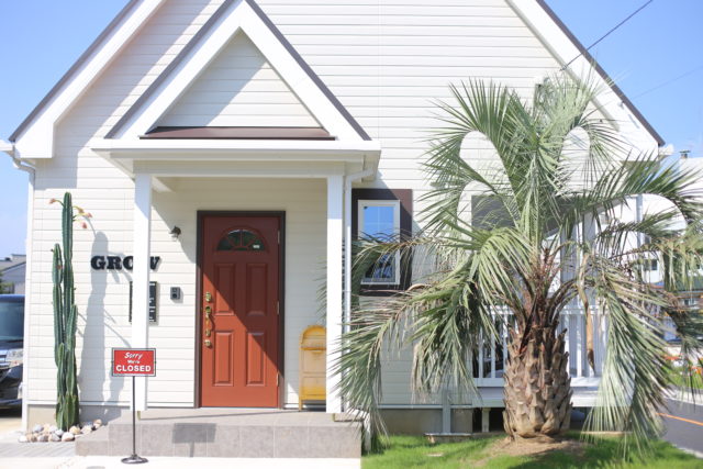 ドライガーデンにぴったり！ ヤシの木 種類 一覧 - ドライガーデン・植