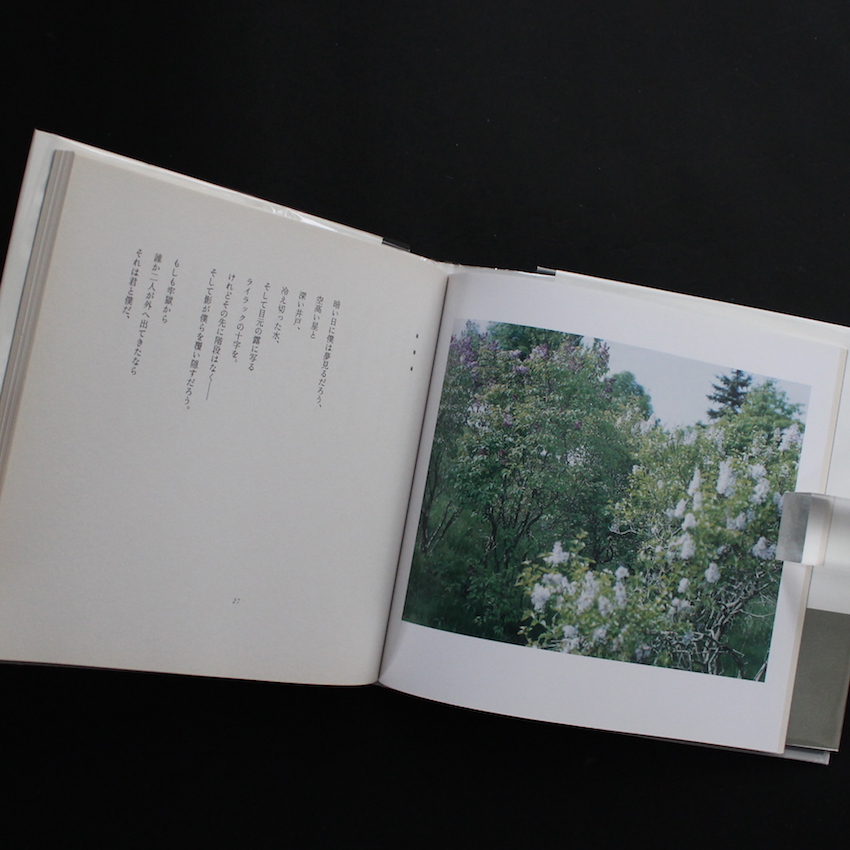 白い、白い日 -アルセーニイ・タルコフスキー詩集 - 鈴木 理策 & 前田