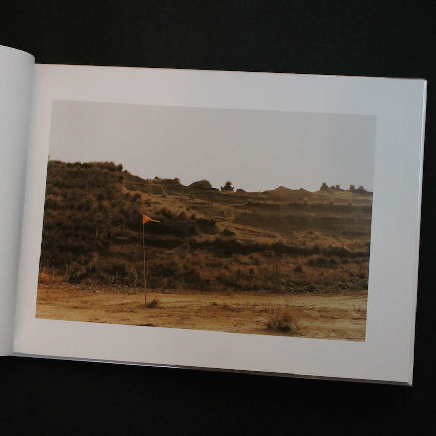 The Sign of Life - 清野 賀子 / Yoshiko Seino