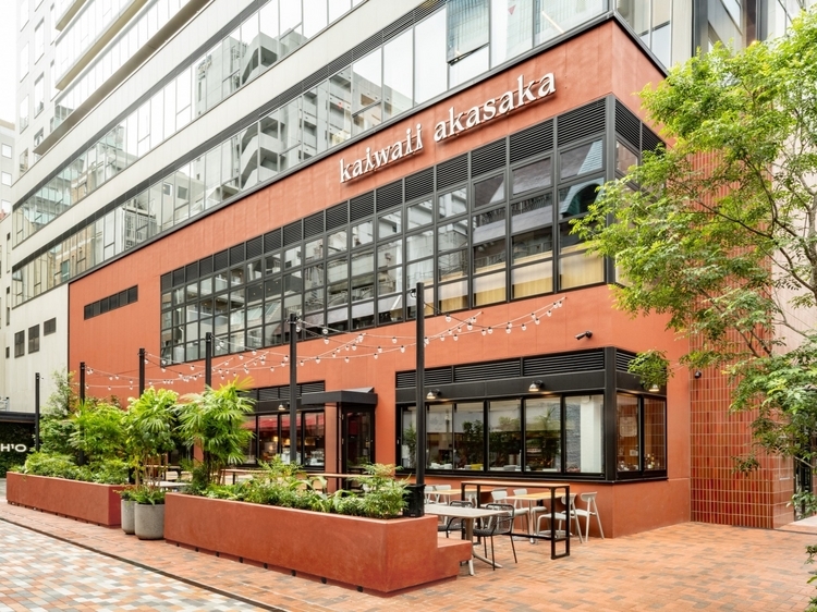 触れたくなる、華やかな色絵「蓮華～renge～」 │ ヒトサラマガジン