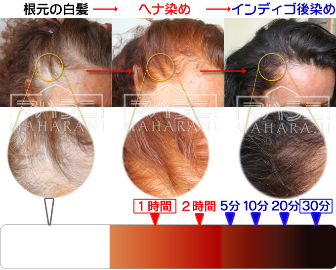 ヘナインディゴ白髪染めセット