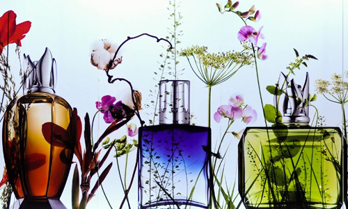 ランプベルジェ ～ Majorhea －まじょれあ－