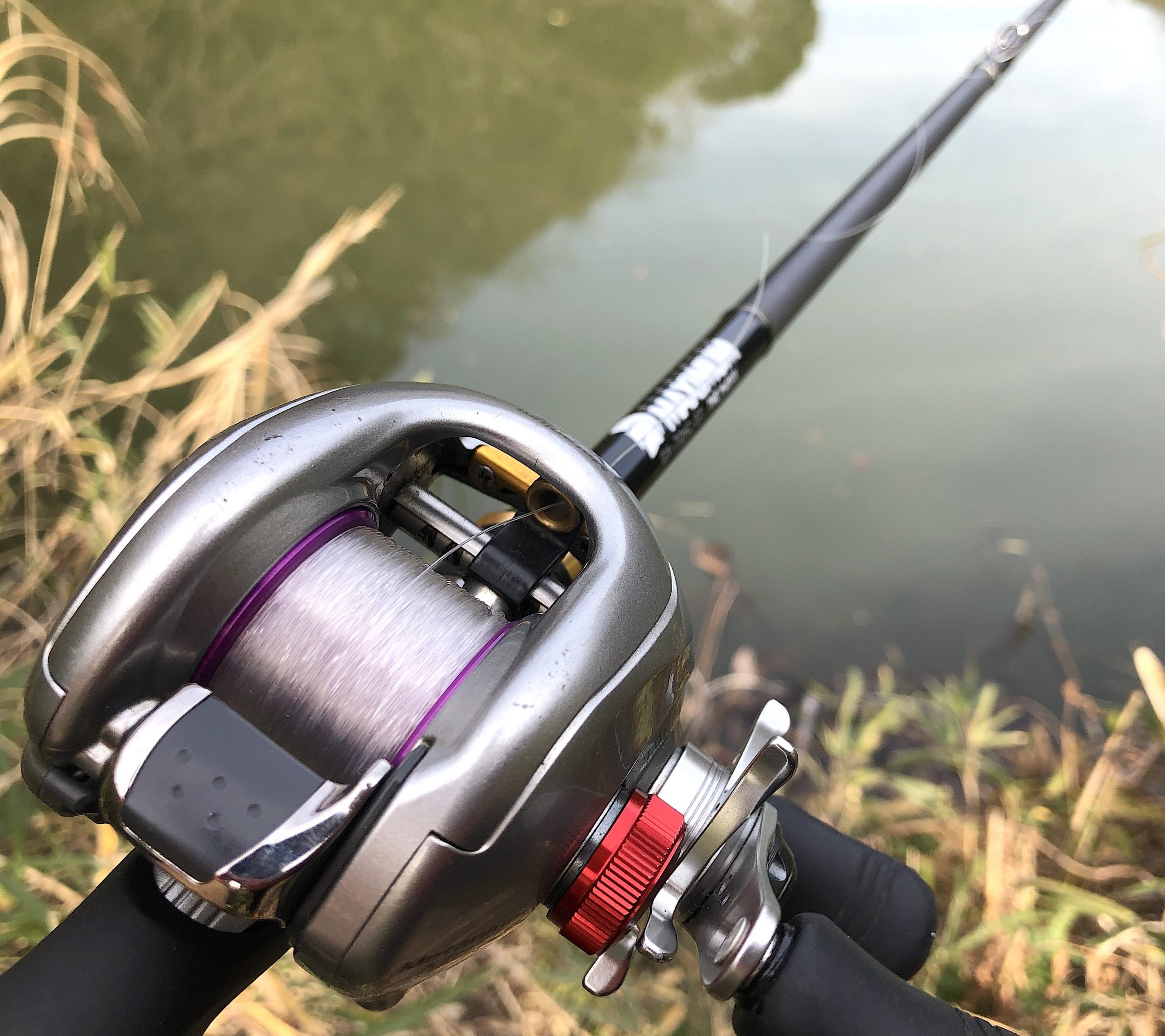 野池でインプレ】レイドジャパン マキシマム「ザ・マックス」を