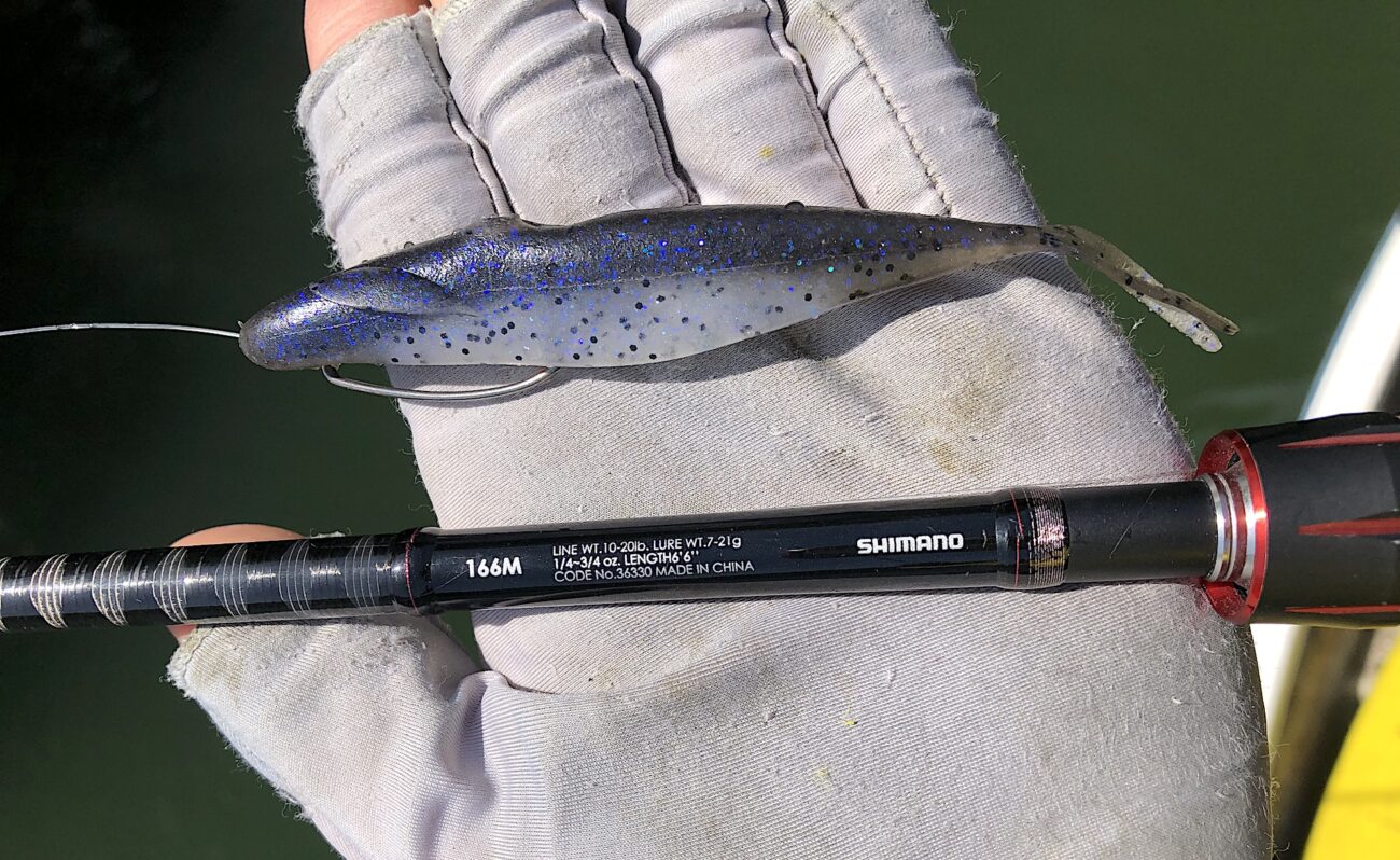 インプレ】デプス「サカマタシャッド 5インチ」。春、半プリ、アフター