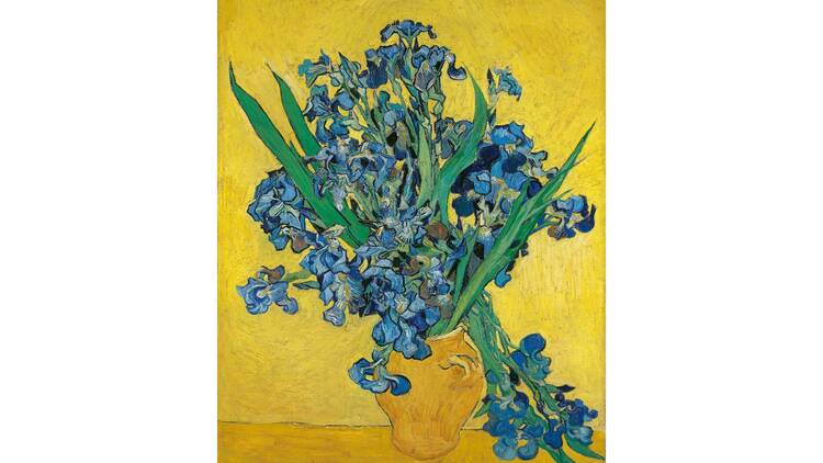 Van Gogh and Still Life: From Tradition to Innovation | Art in Tokyo