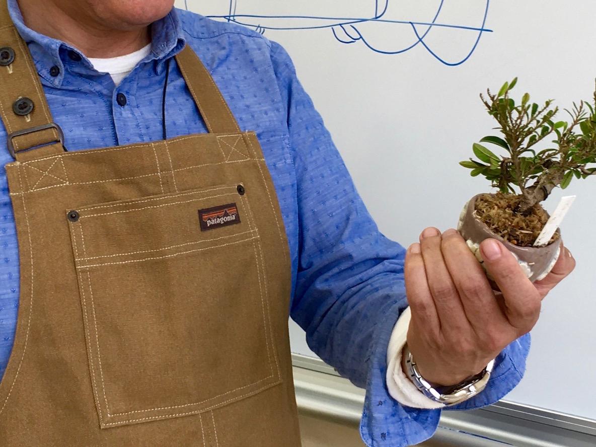 IMG_0929-1.jpg?w=585