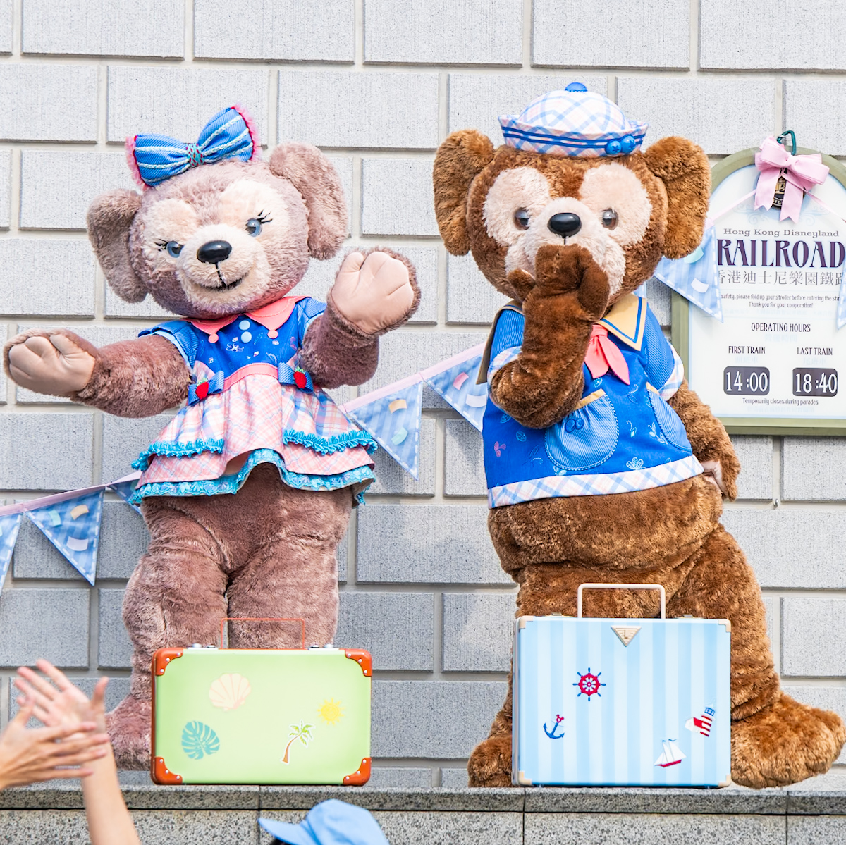 香港ディズニーランド ダッフィー シェリーメイ 2体セット 香港