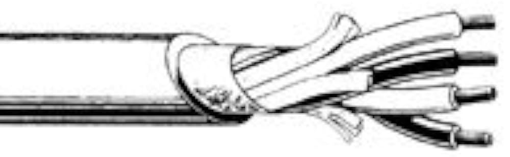 Amazon.co.jp: カナレ スピーカー ケーブル 4S6 100m 灰 : 家電＆カメラ