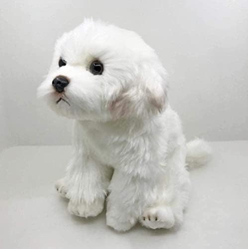 Amazon.co.jp: リアルなマルチーズ犬マルタ子犬ぬいぐるみ Triver